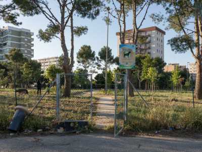 Il quartiere Japigia vanta una delle aree cani pi� ampie del Sud Italia, inaugurata nel 2021 all�interno del parco Annoscia di via Suglia. � grande 6000 metri quadri ed � divisa tre zone a seconda della taglia dei cani